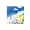 5277 servitky farebne koktejlove margarety