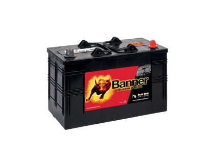 BATERIE BANNER BUFFALO BULL 610 47, 110Ah, 12V