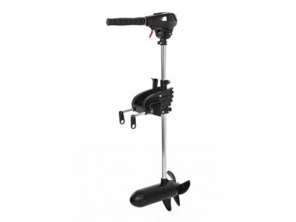 10784 65lb motor