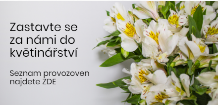 Zastavte se za námi do
