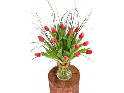 Kytice Tulipánů