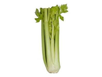 Celer řapíkatý kal,16 1 ks