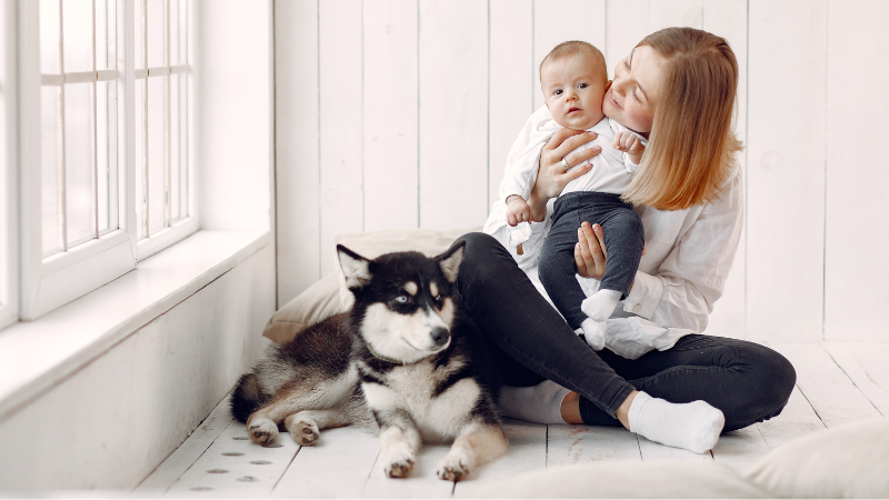 Pes a malé děti: bezpečné soužití krok za krokem