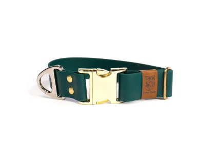 Obojek tlustý zelený 1