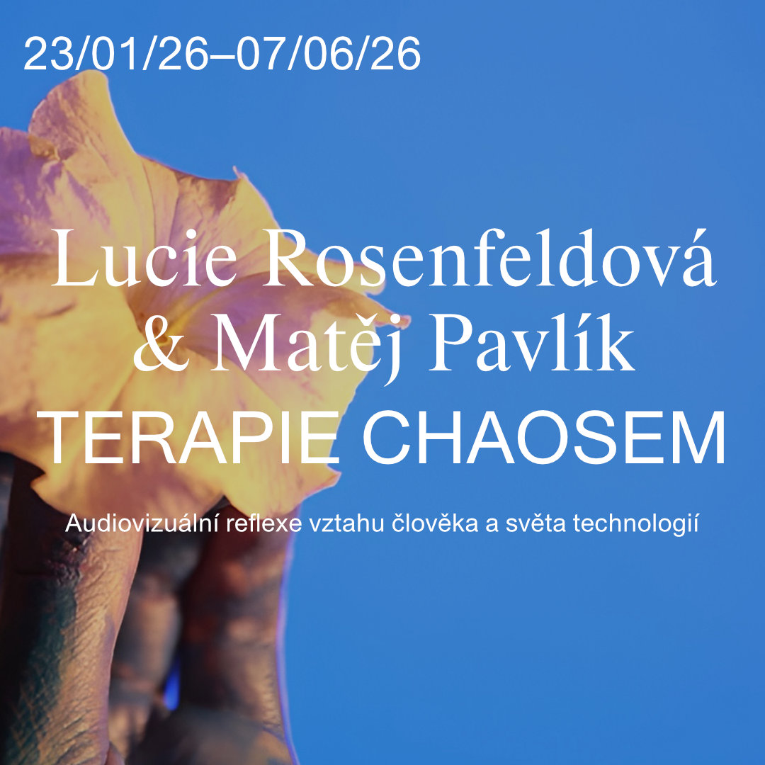 Lucie Rosenfeldová & Matěj Pavlík | Terapie chaosem