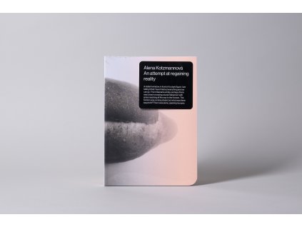 Alena Kotzmannová / An attempt at regaining reality