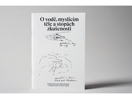Rozhovor s Milošem Šejnem u příležitosti výstavy AQVA 01