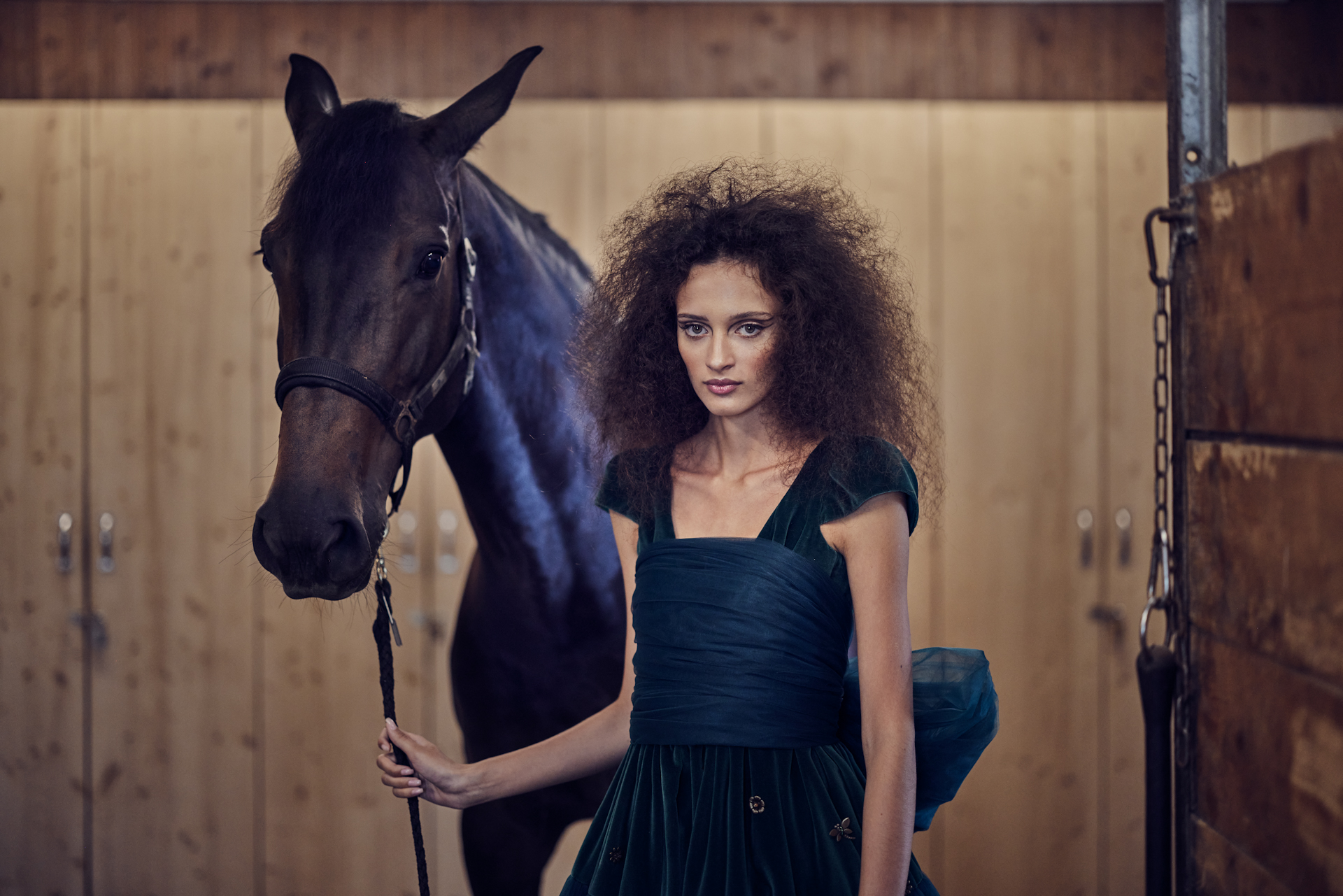 Campaign BROADMOAR Collection