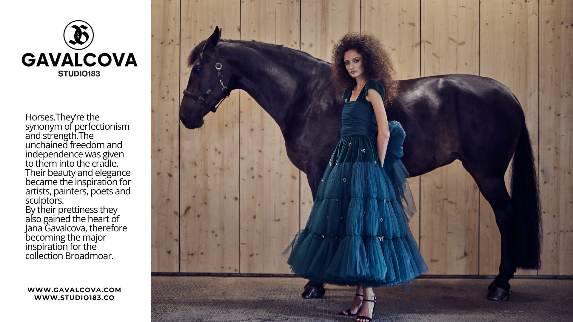 BROADMOAR green Dress