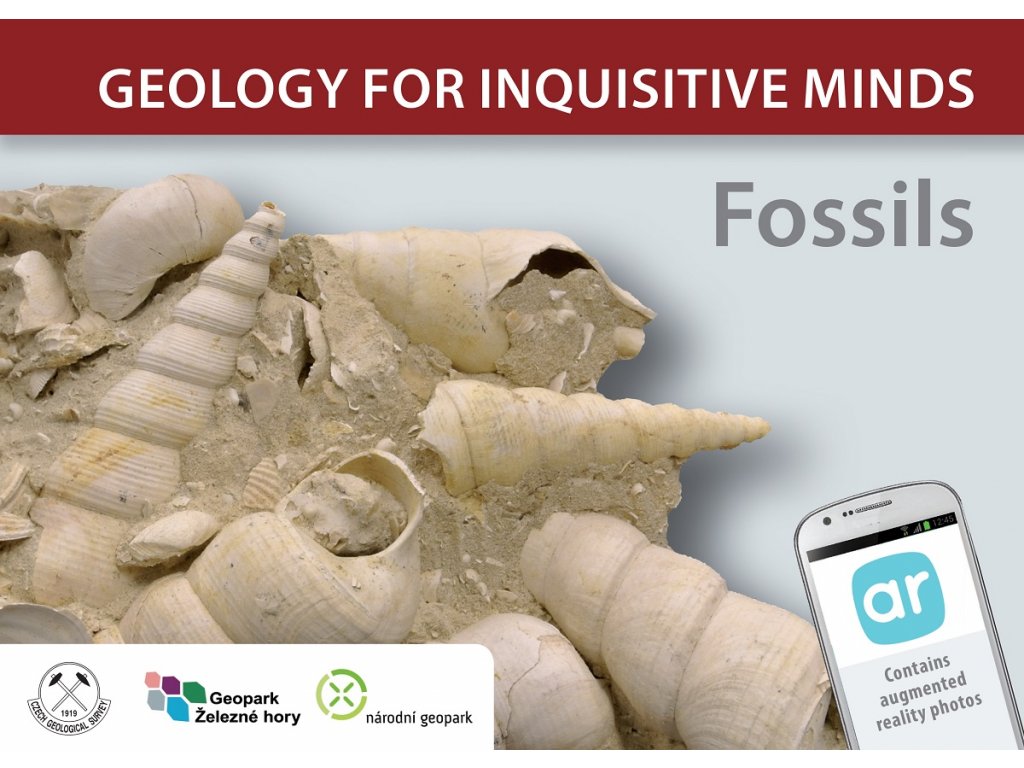46119 geology for inquisitive minds fossils