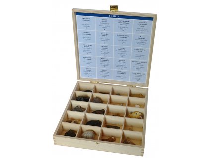 Sada fosilií v dřevěné krabici, (20 ks)