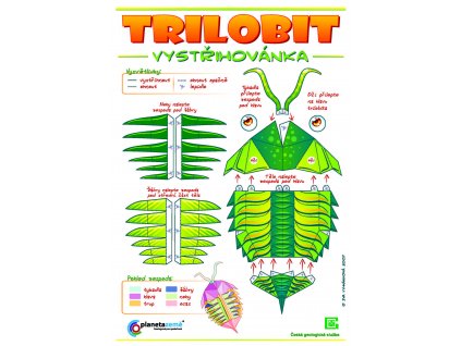 trilobit green