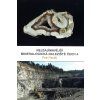 52011 nejzajimavejsi mineralogicka naleziste cech 4