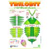 trilobit green