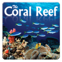 The Coral Reef 1 CD