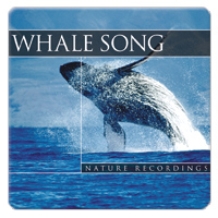 Whalesong 1 CD - relaxační hudba GLOBAL JOURNEY