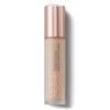 Take Cover Radiant Cream Concealer Silk CLOSED