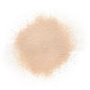 Pure Touch Microfine Loose Powder Translucent Swatch