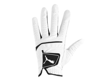 Flex Lite Glove 2pk LH