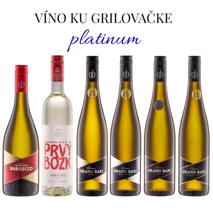 set grilovačka platinum