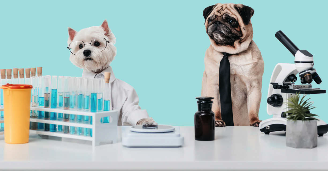 Grand Vital PEPTIDE + Síla Peptidů - NOVINKA