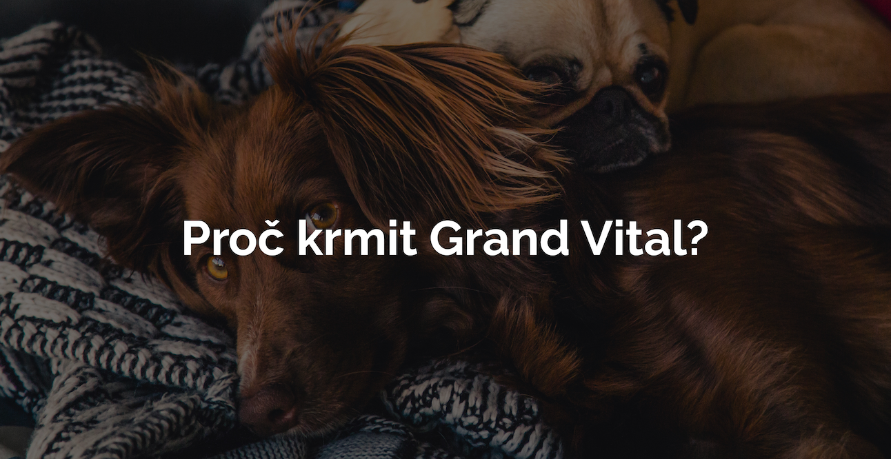 O krmivu Grand Vital 