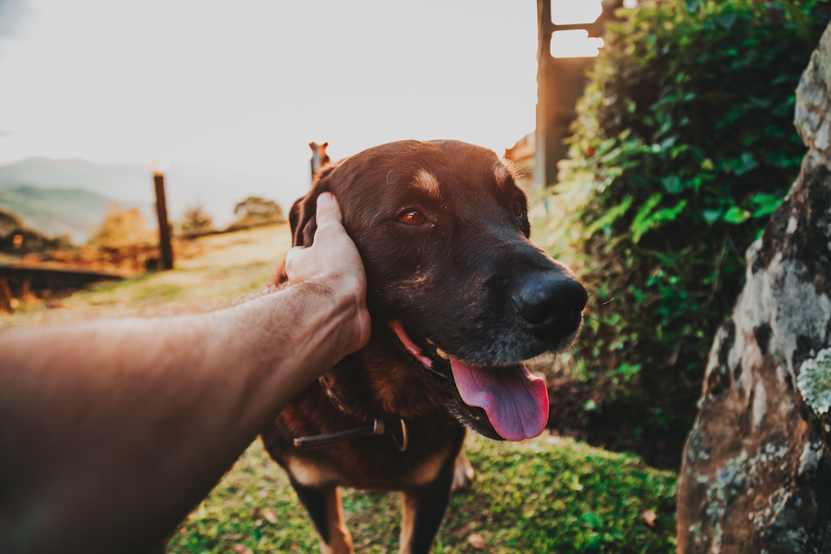 Grand Vital radí - Tipy na léto!