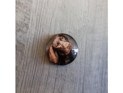 Magnet kulatý plemeno Výmarský ohař 3 x 3 cm
