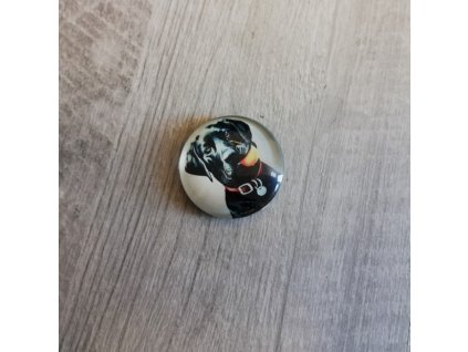 Magnet kulatý plemeno Labradorský retrívr černý 3 x 3 cm