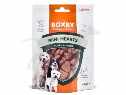 mini hearts 2018 low 20180227143011 300x380