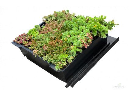 d107c7823c3fdba9be9ceba4e9059a62 8c39e4 08729a3e5fdb473e85ff2c7c4eae38c8 mv2 (1)