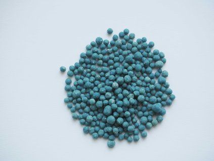 P3051189 Blaucorn suprem (002)