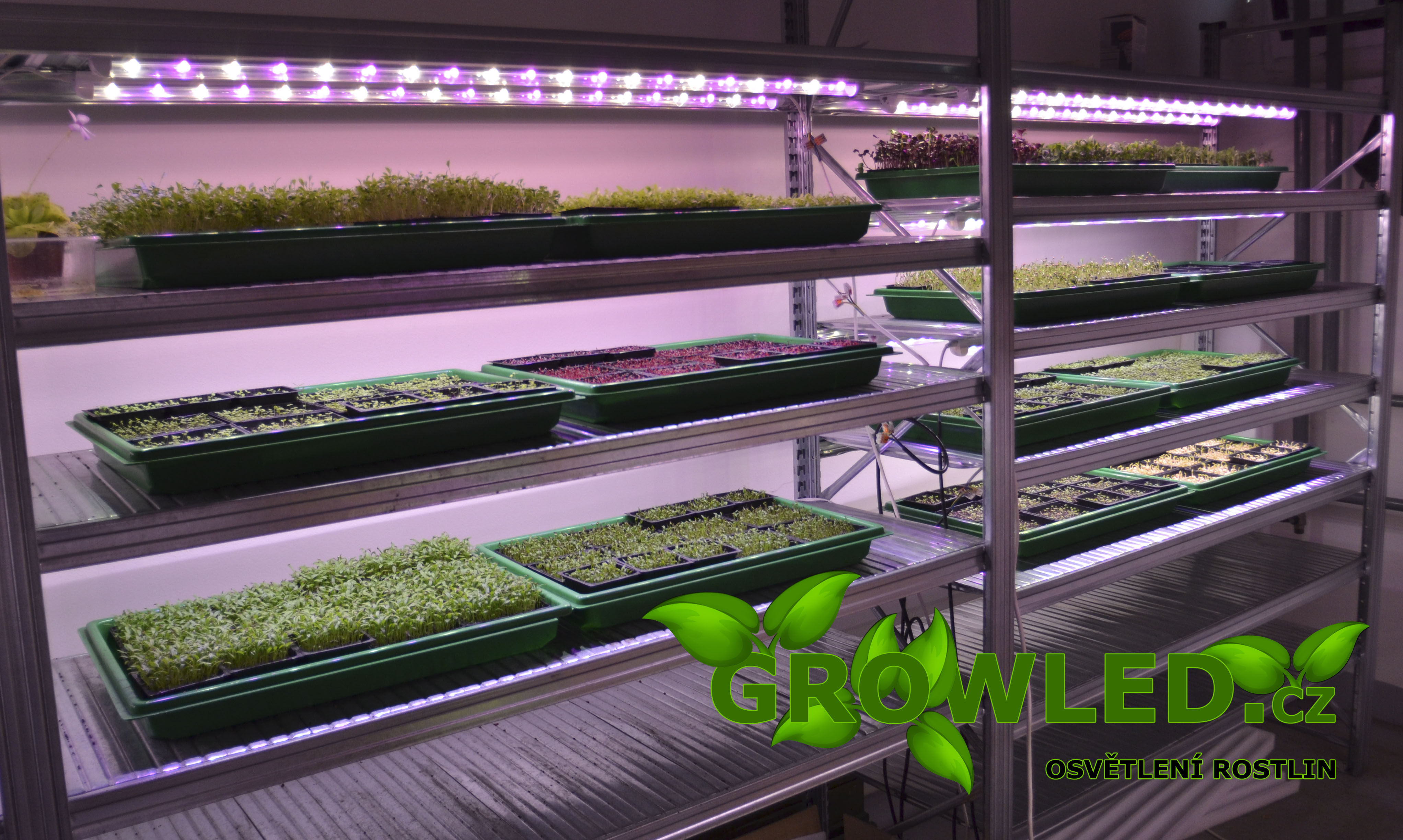 GROW_LED_osvetleni_microgreens_GROW_LED_cz