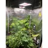 zahradka pestovani zeleniny bylin rostlinGROW LED BOARD 110 GROW LED cz 02