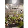 PESTOVANI ZELENINY LED OSVETLENI GROW LED BOARD GROWLED CZ 06