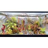 MASOZRAVE ROSTLINY POD SVETLEM GROW LED FLEXI
