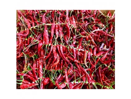Bulharská chilli