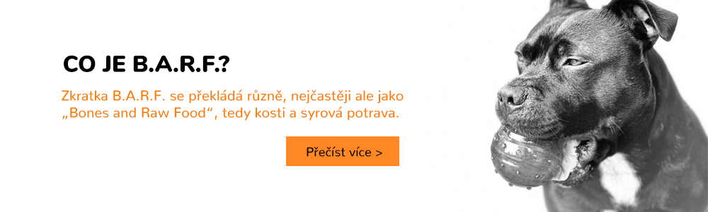 HafBarf_clanek