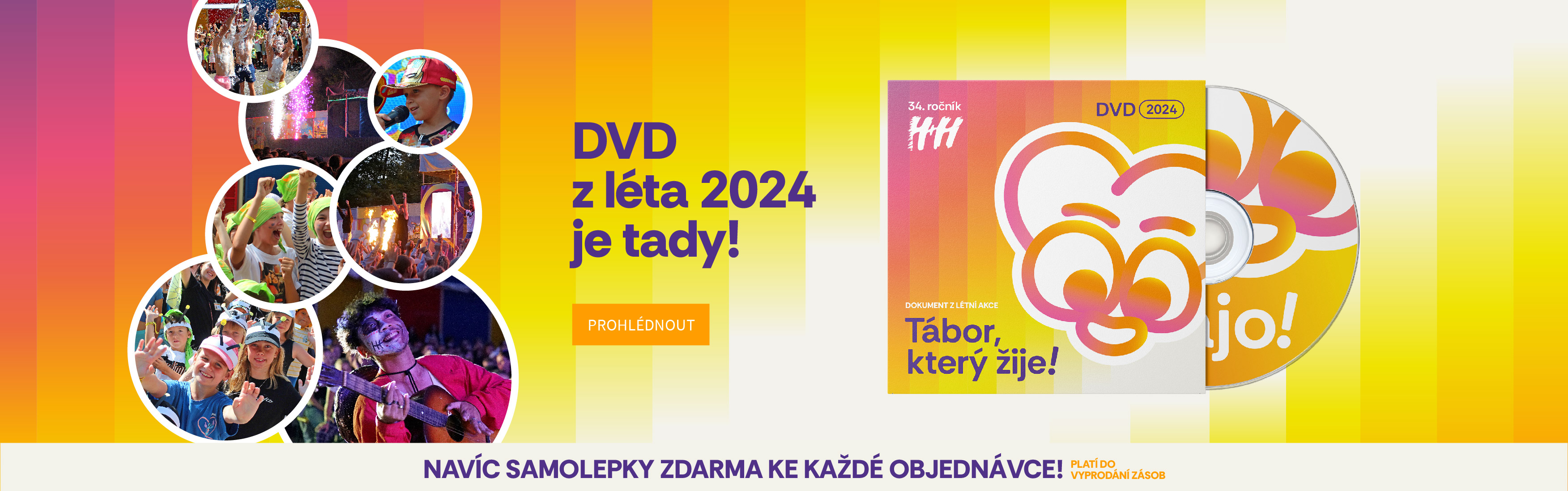 DVD 2024
