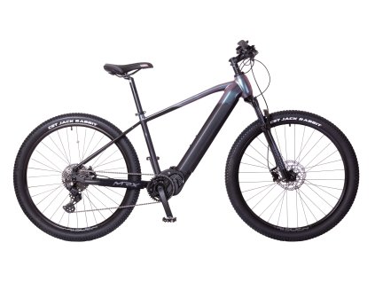 29 YAM24 chameleo stribrny 2048px
