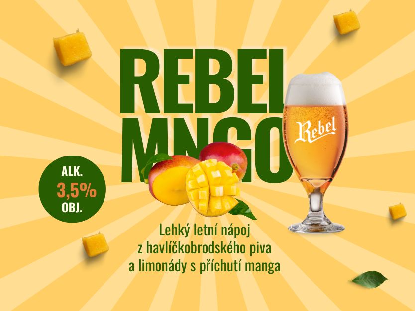 Letní limitka - Rebel MNGO