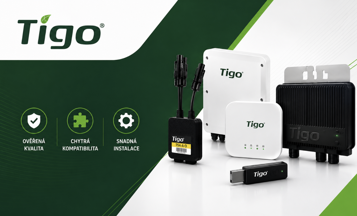 tigo