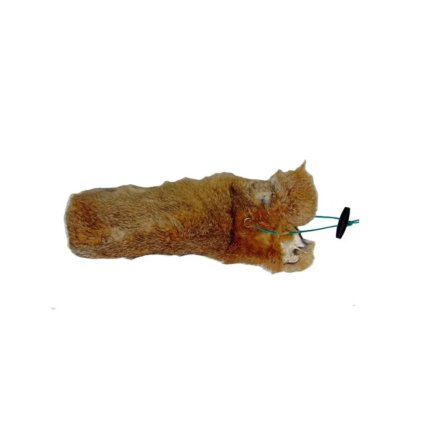 dummy1