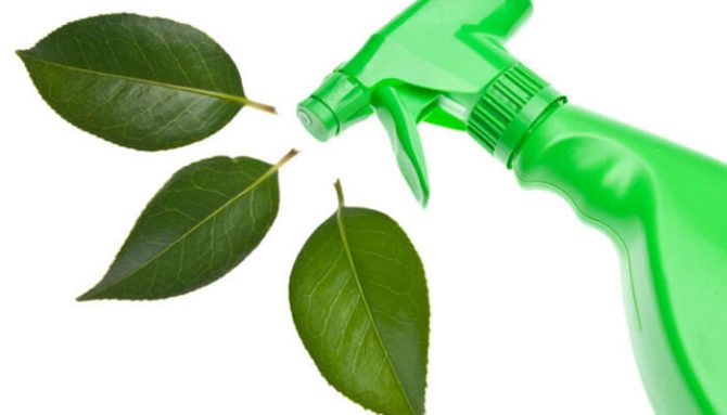 Prečo sú ekologické čistiace prostriedky lepšou voľbou?