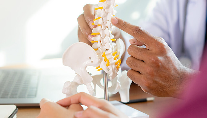 Prírodná stratégia pre prevenciu osteoporózy a podporu zdravia kostí