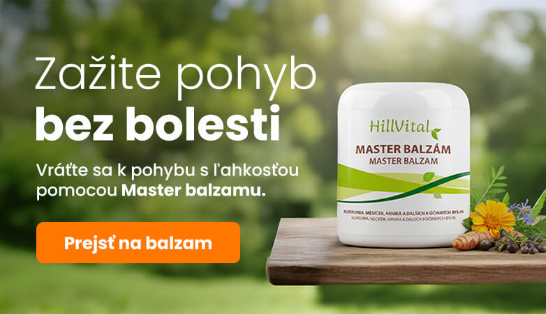 Pohyb bez boleti - mob