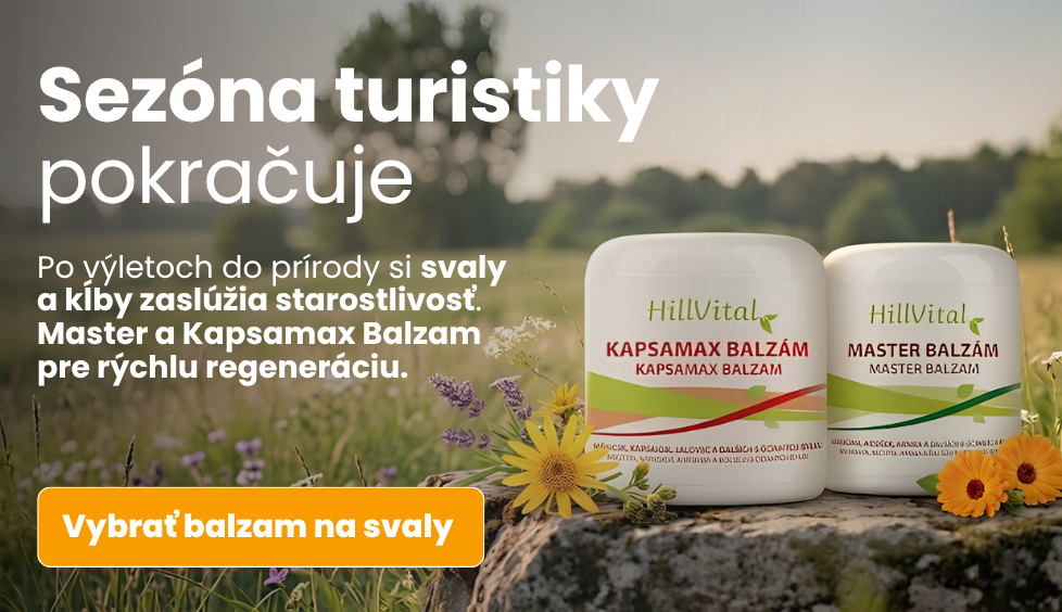 Turistika