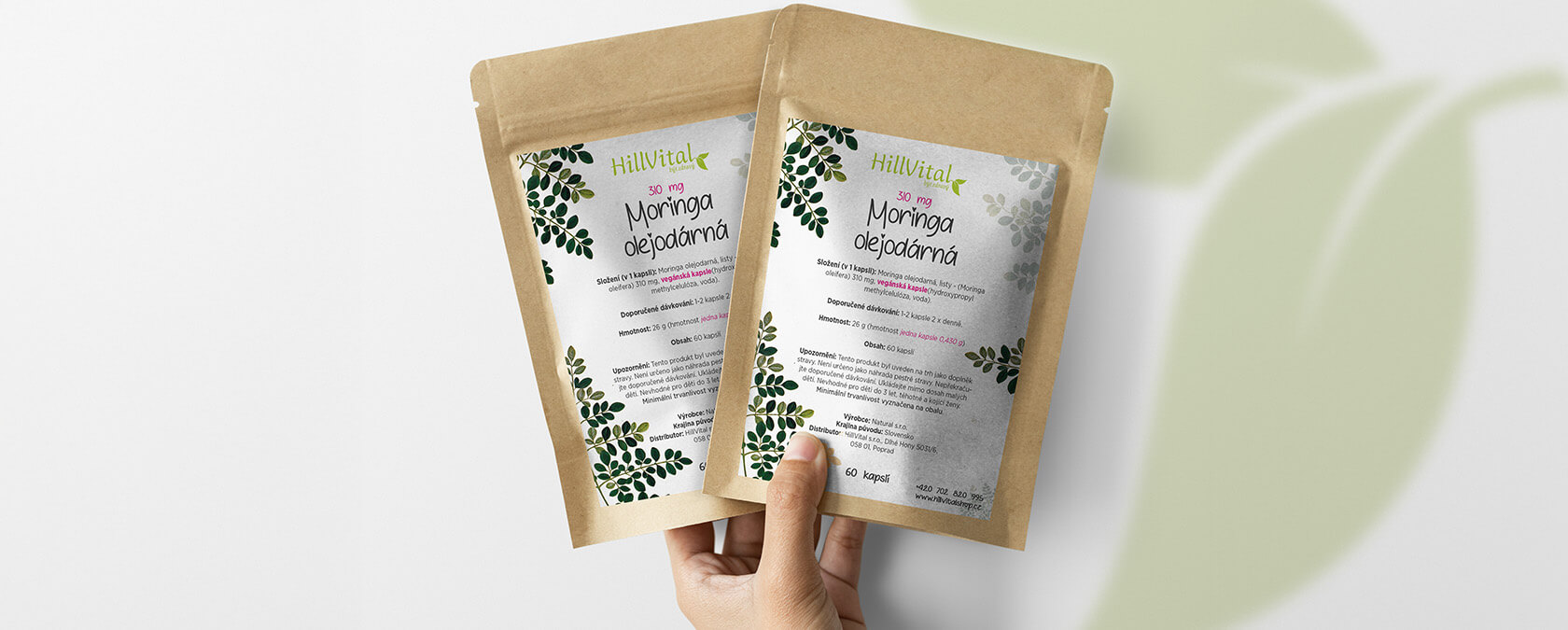 blog-moringa1