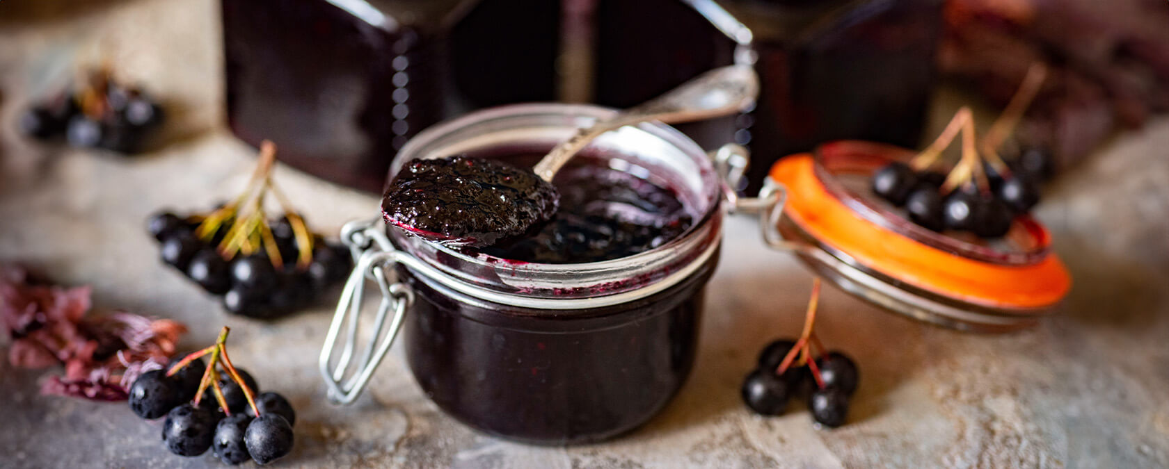 hillvital-blog-aronia-2