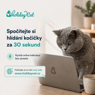 Spočítejte si pohodlně a rychle cenu na našem novém webu! Nemusíte už řešit vůbec nic okolo, pouze klikněte na...